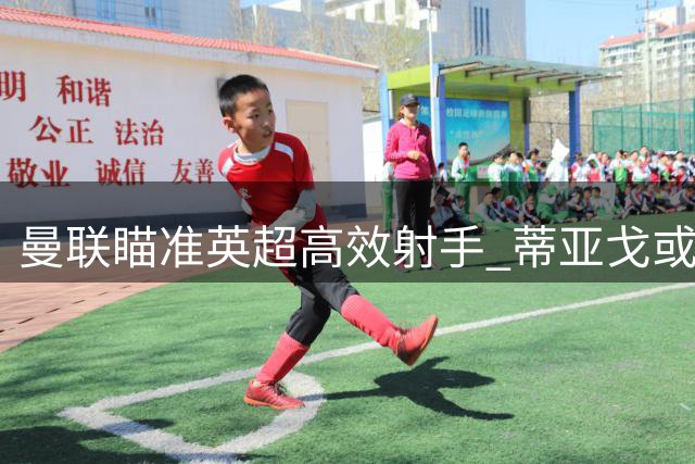 曼联瞄准英超高效射手 蒂亚戈或成锋线新核心