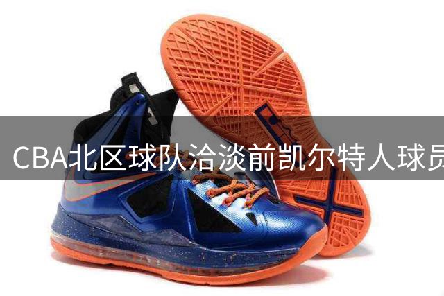CBA北区球队洽淡前凯尔特人球员班顿