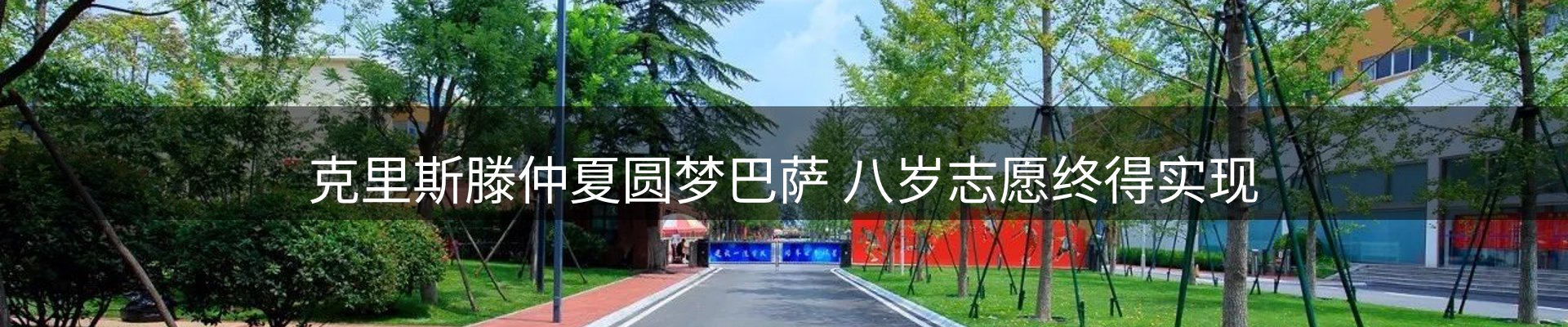 公司导读