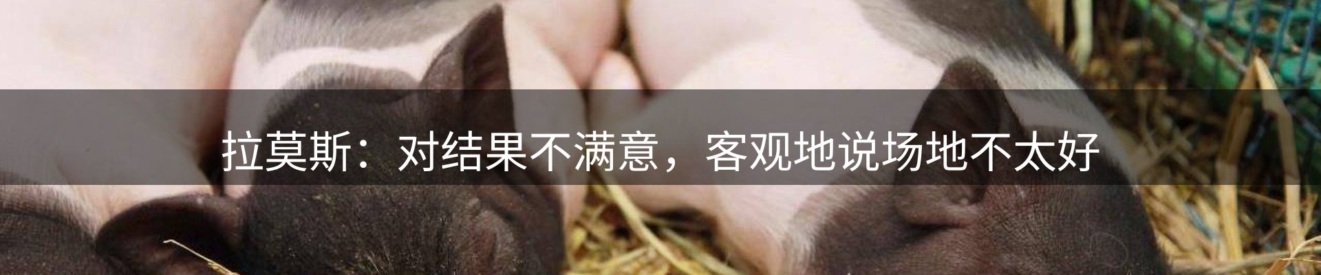最新动态