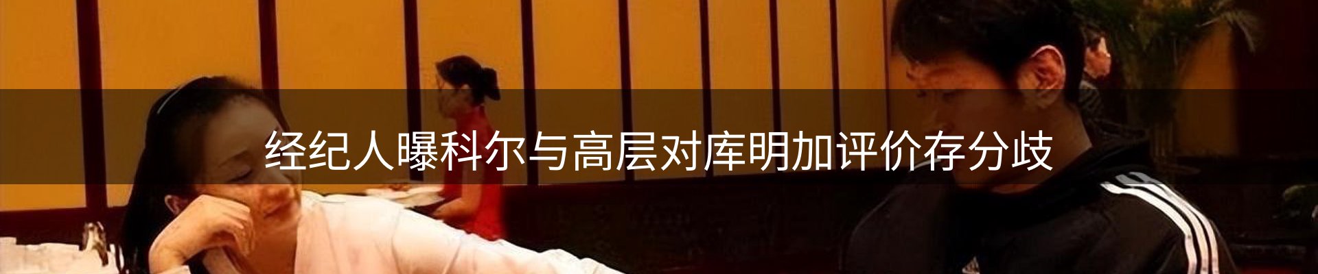 公司导读