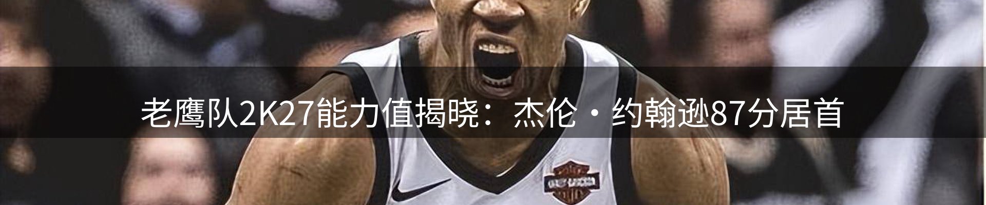 公司导读