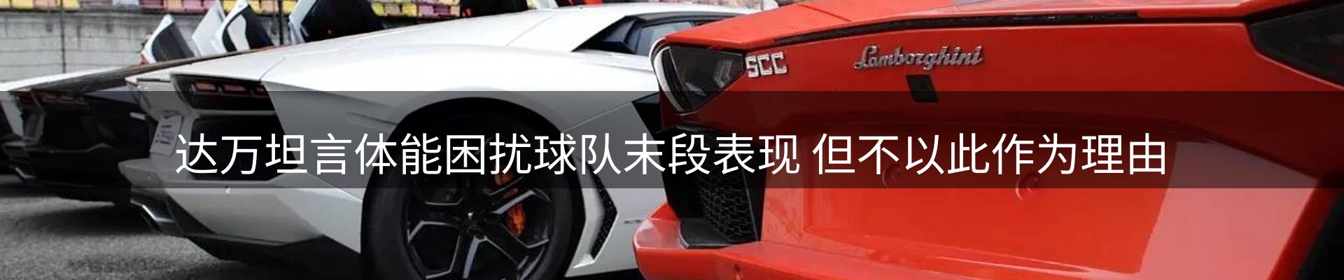 最新动态