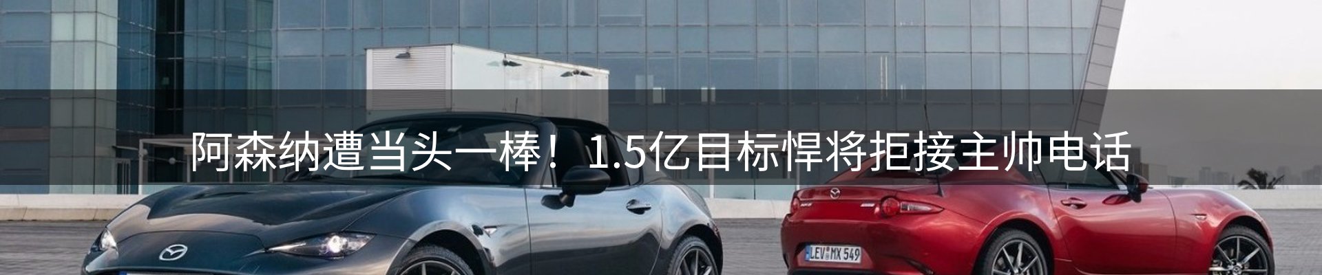 最新动态